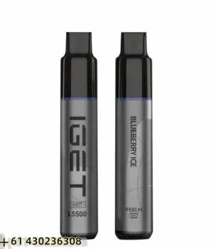 IGET HOT Blueberry Ice 5500 Puffs