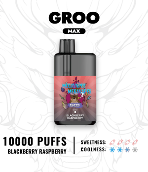 GROO MAX – BLACKBERRY RASPBERRY