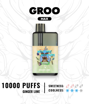 GROO MAX – GINGER LIME