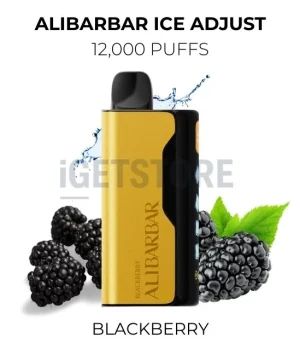 Alibarbar Ice Adjust 12000 Puffs – Blackberry