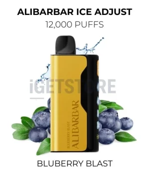 Alibarbar Ice Adjust 12000 Puffs – Bluberry Blast