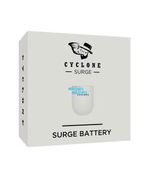 Surge Battery