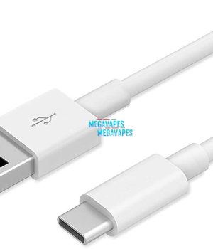 Type C Charger