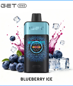 IGET One Blueberry Ice 12000 puffs